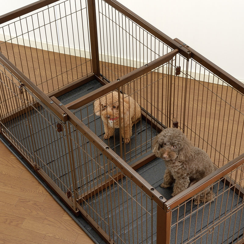 puppy crate divider
