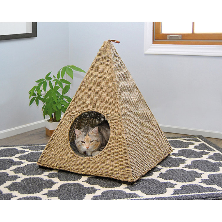 pyramid cat bed