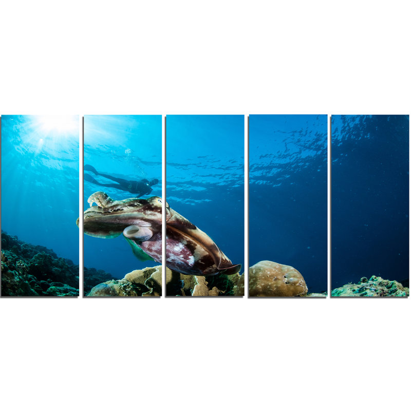 Designart Broadclub Cuttlefish Underwater 5 Piece Graphic Art On Wrapped Canvas Set Wayfair