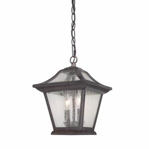 Aiken 2-Light Outdoor Hanging Lantern