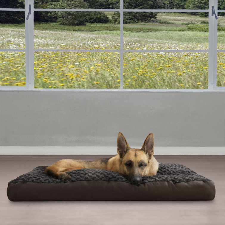wayfair pet beds