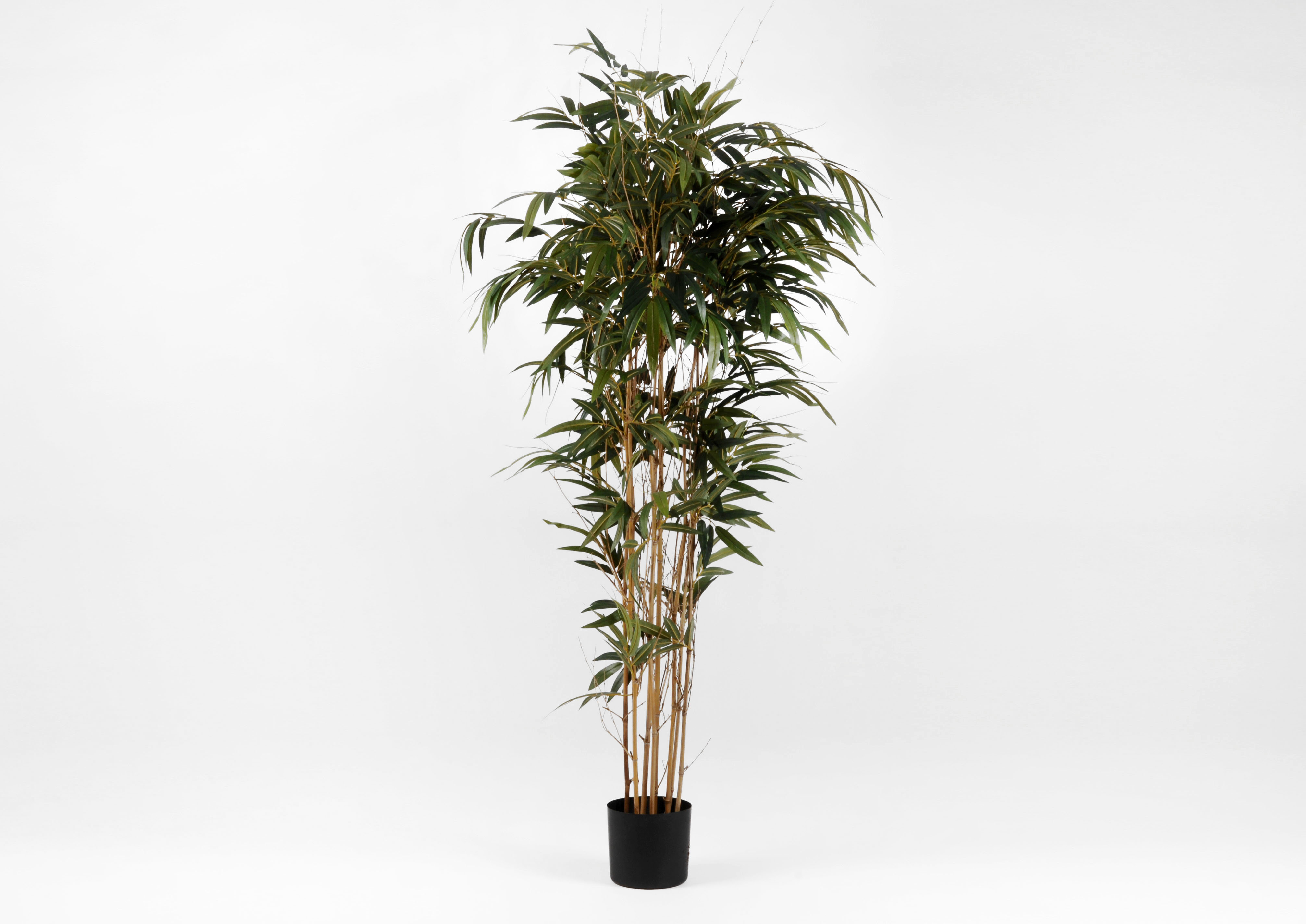 Bloomsbury Market 218Cm Bamboo Tree in Pot Wayfair.co.uk