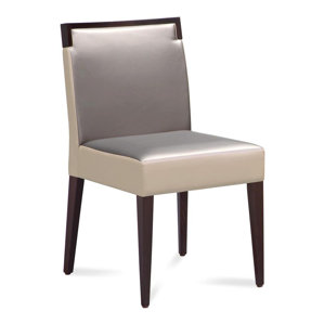 Ariel Dining Chair (Set of 2) by Domitalia
