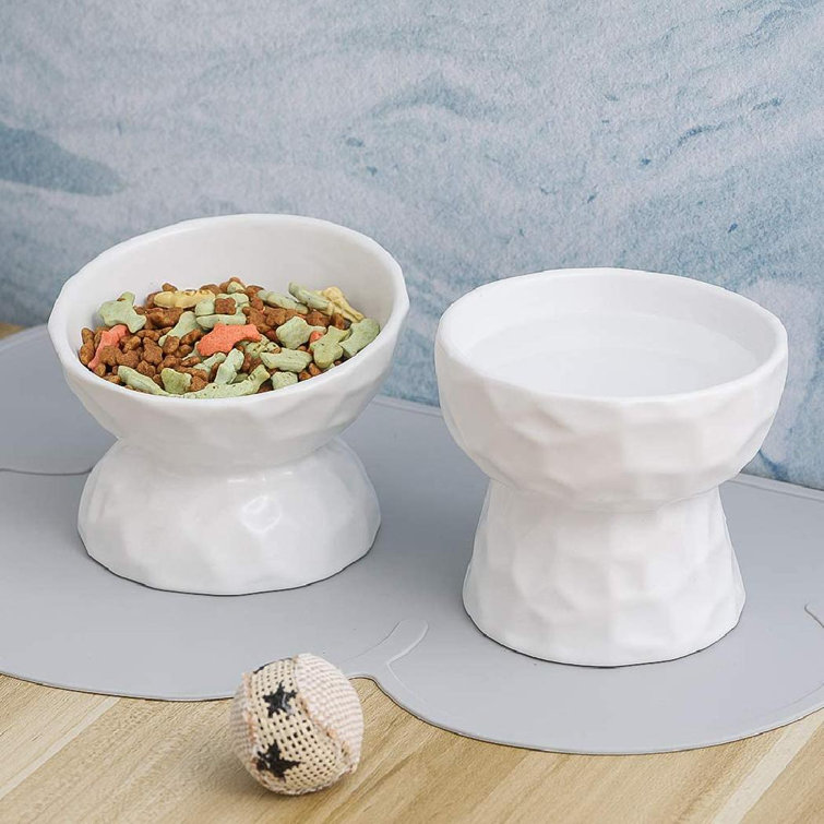 ceramic water dish