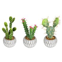 SONOMA Small GREEN WOOD Artificial CACTUS DECORATION Southwest TABLE TOP DECOR
