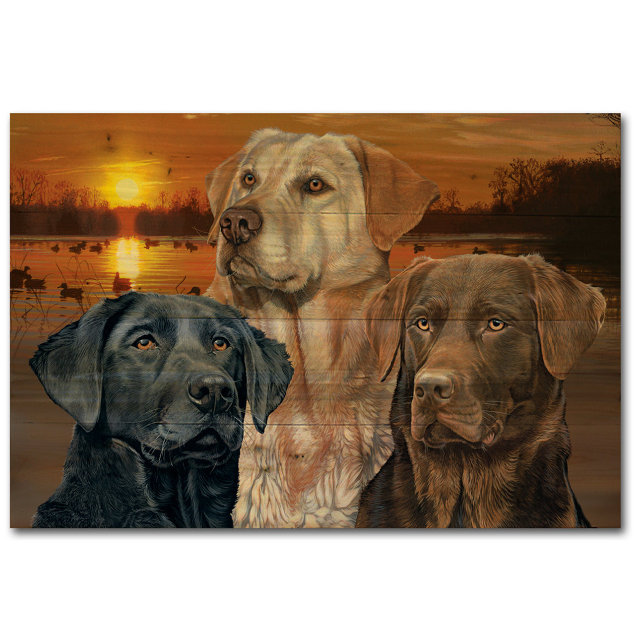 Wgi Gallery Lab Trio Graphic Art Plaque Wayfair