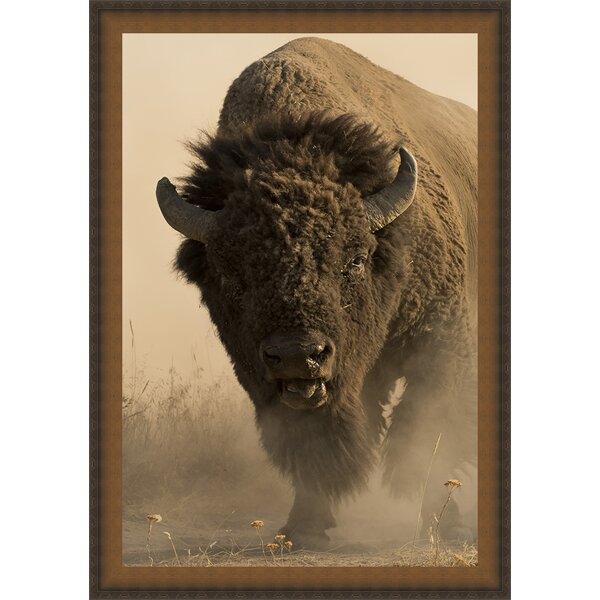 Millwood Pines 'American Buffalo' Framed Photographic Print on Canvas ...