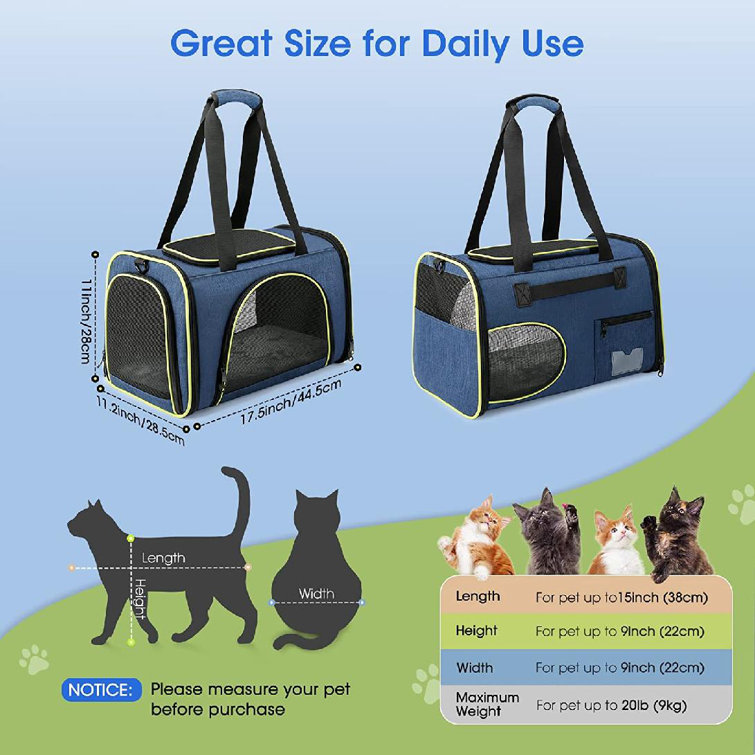 medium sized cat carrier