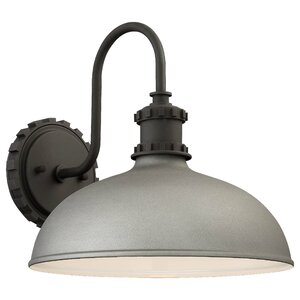 Ravi 1-Light Outdoor Sconce