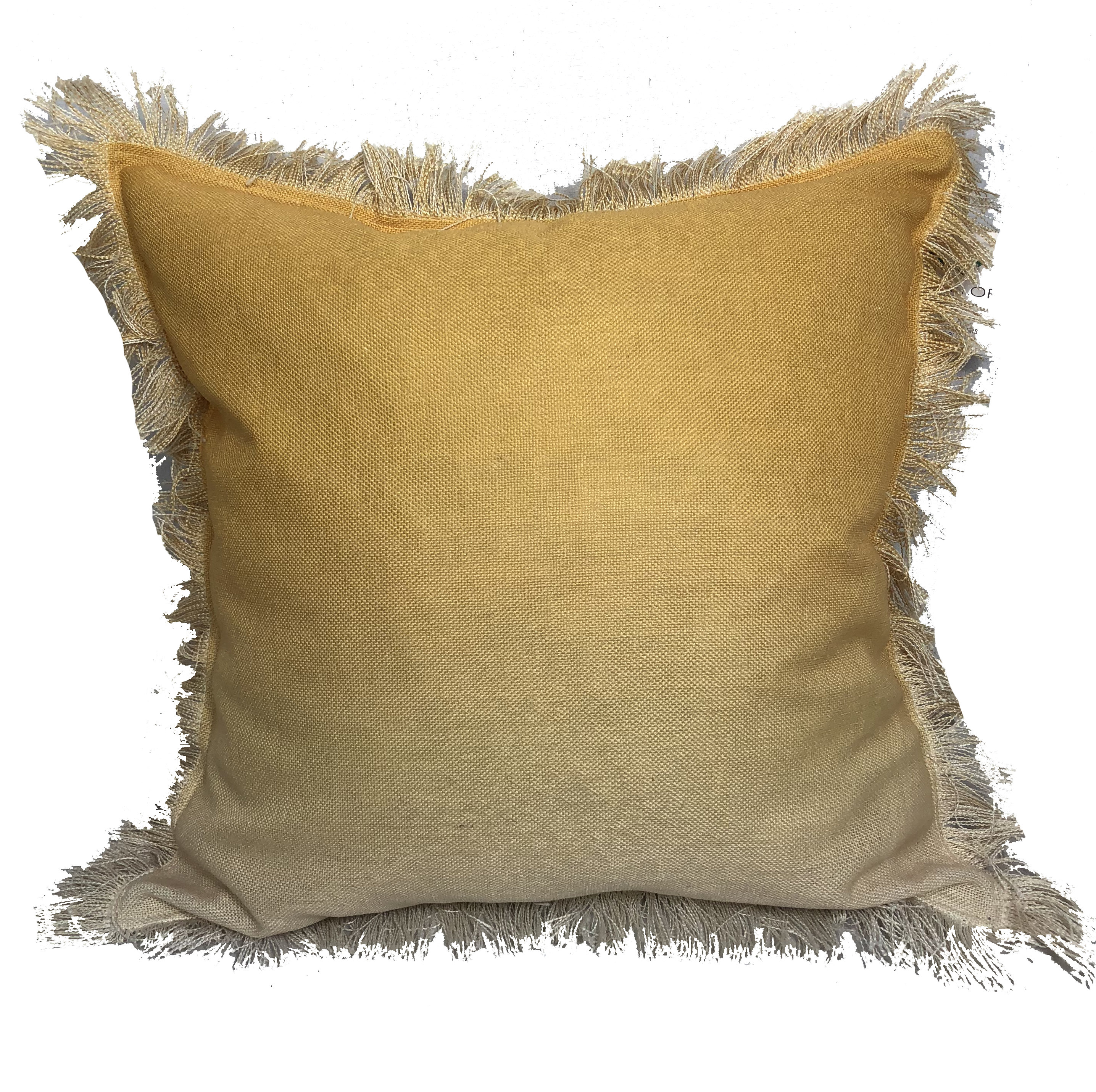 Ophelia Co Weiler Ombre Fringe Throw Pillow Reviews Wayfair