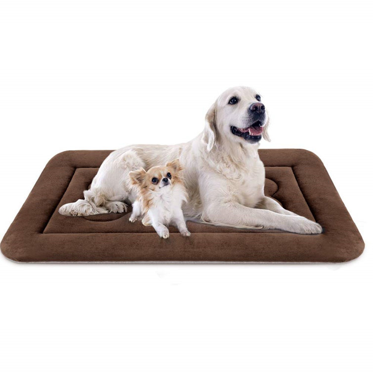 extra large dog mats