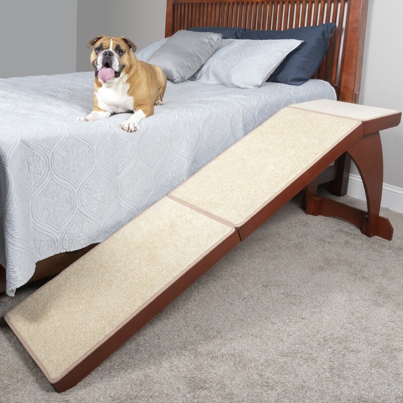 pet ramp