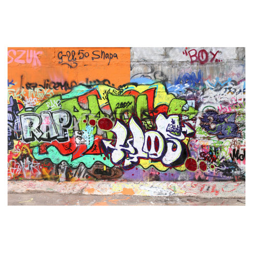 Graffiti Wall 2.9m x 4.32m Textured Matte Peel & Stick Wall Mural East Urban Home