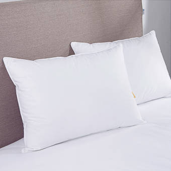 Arsuite Gilkey Hotel Feather And Down Chamber Pillow Reviews Wayfair