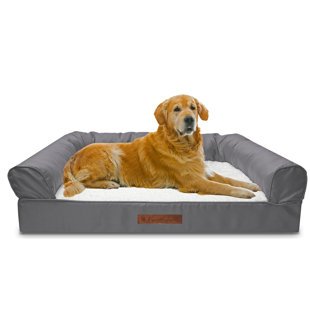 wayfair pet beds