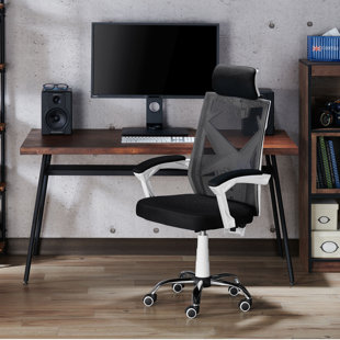 Franck Ergonomic Mesh Executive Chair by Latitude Run