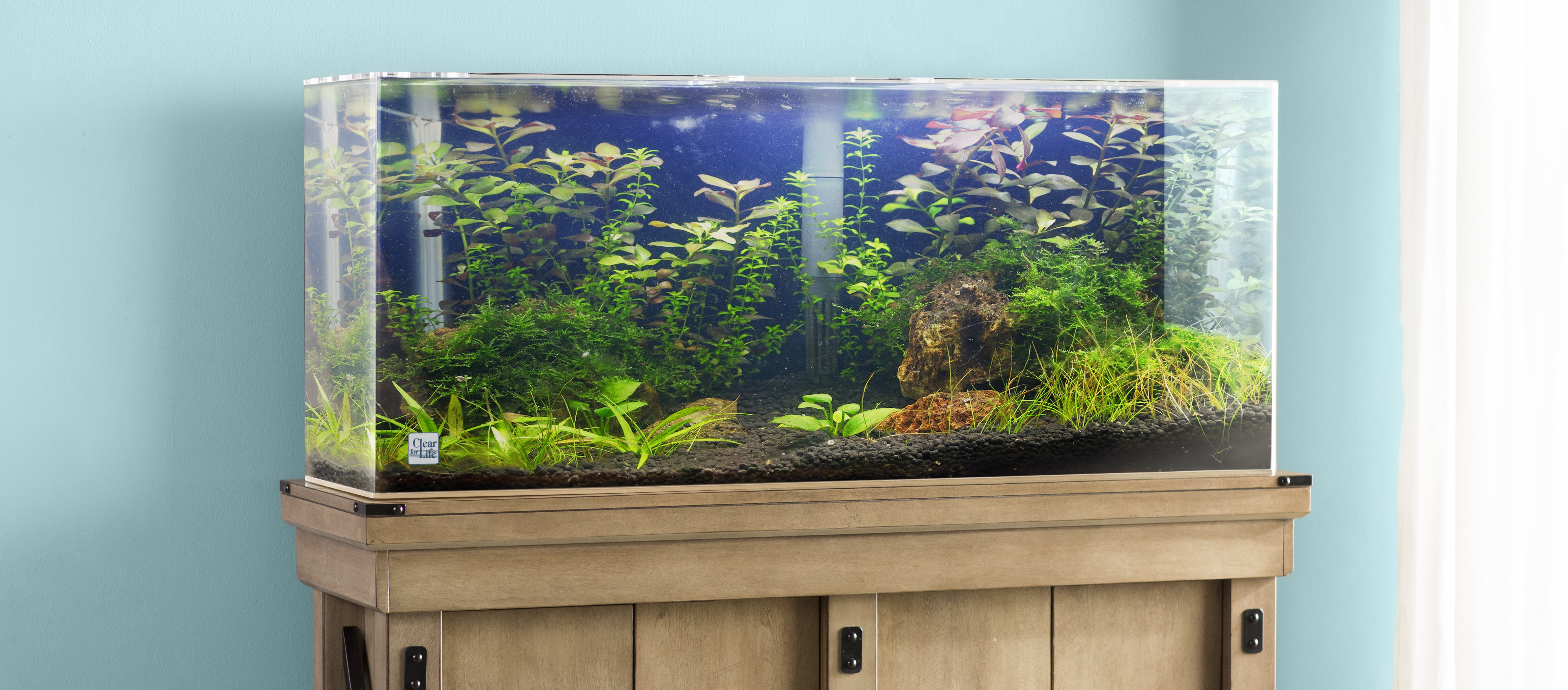 [BIG SALE] TopRated Freshwater Aquariums You’ll Love In 2020 Wayfair