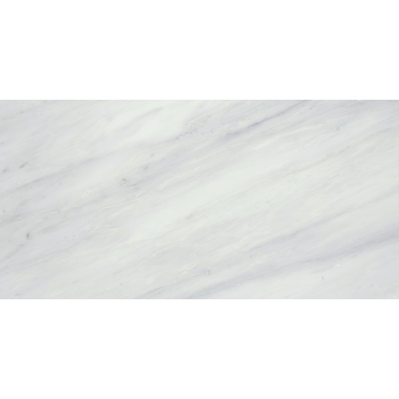 Emser Tile Marble 12 X 24 Tile In Winter Frost Classico Wayfair