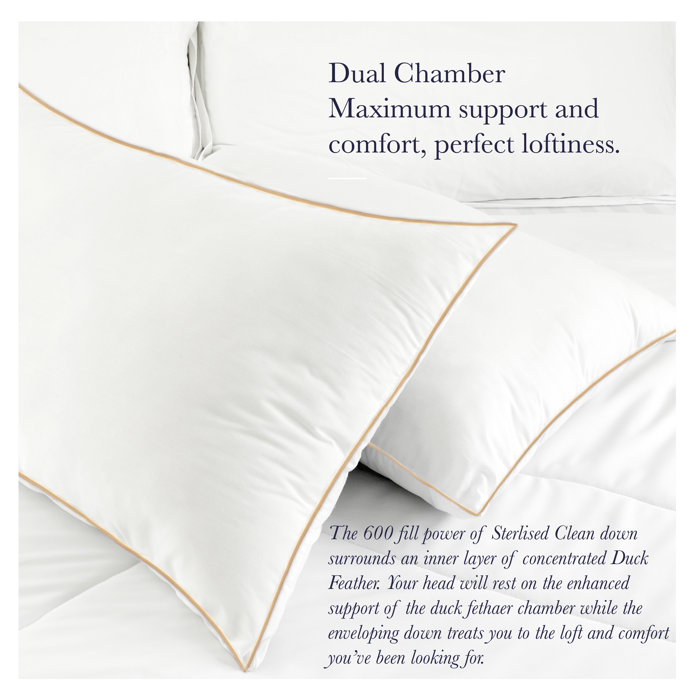 Alwyn Home Phineas Regal Chamber Down Queen Pillow Wayfair Ca