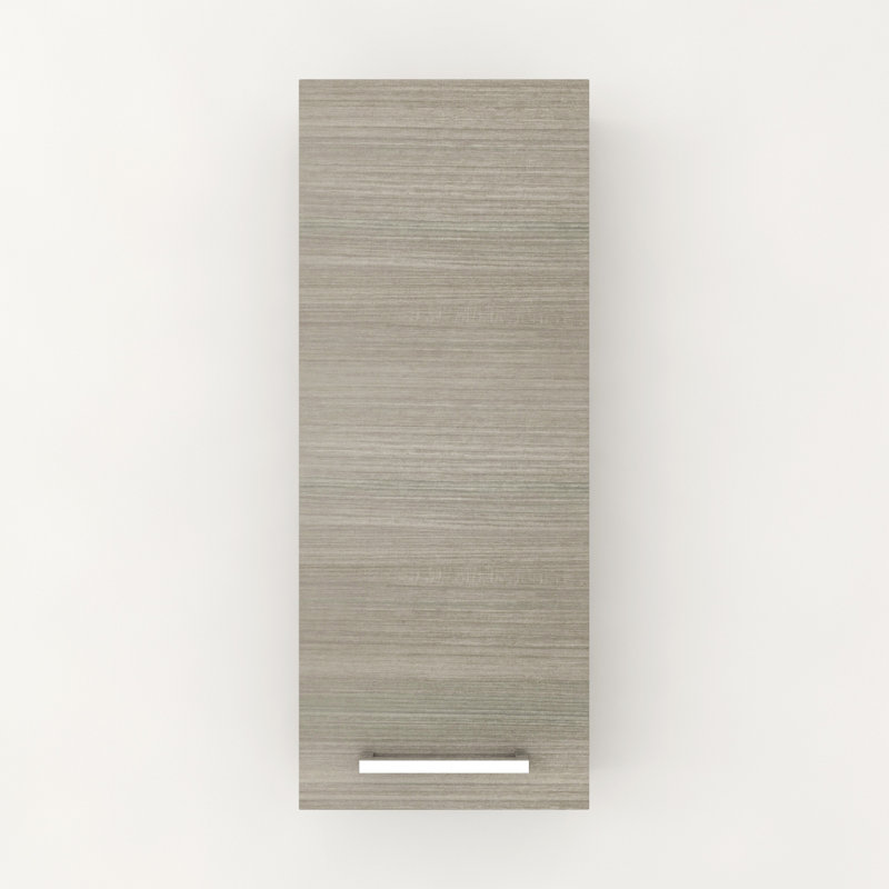 Thomson 12 W X 30 25 H Wall Mounted Cabinet Reviews Allmodern