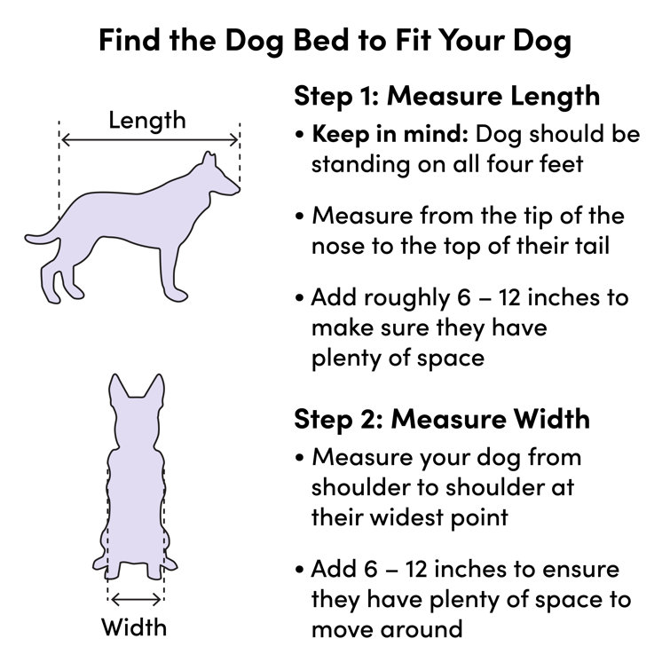 scratch proof dog beds