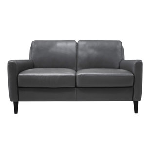 Go to store & view more images Ivy Bronx Carnmoon Leather Loveseat