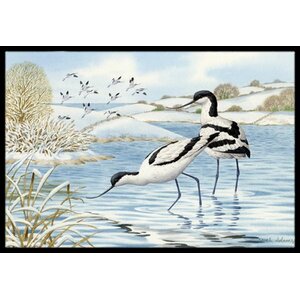 Avocet Doormat