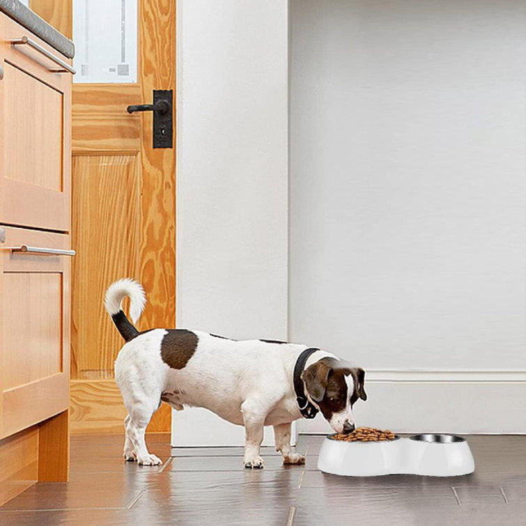 2 dog feeding station