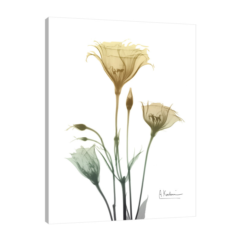 Ebern Designs Ocre Bloom 1 Graphic Art Print On Wrapped Canvas Wayfair