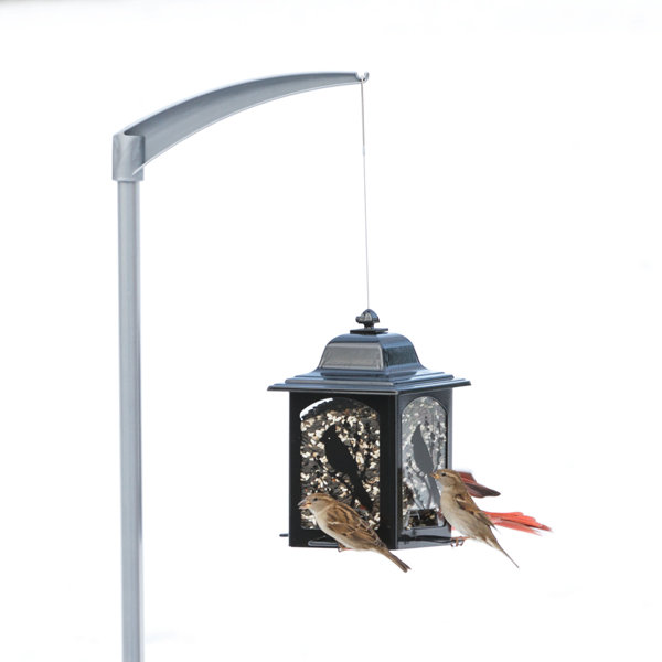 Bird Feeder Pole Wayfair