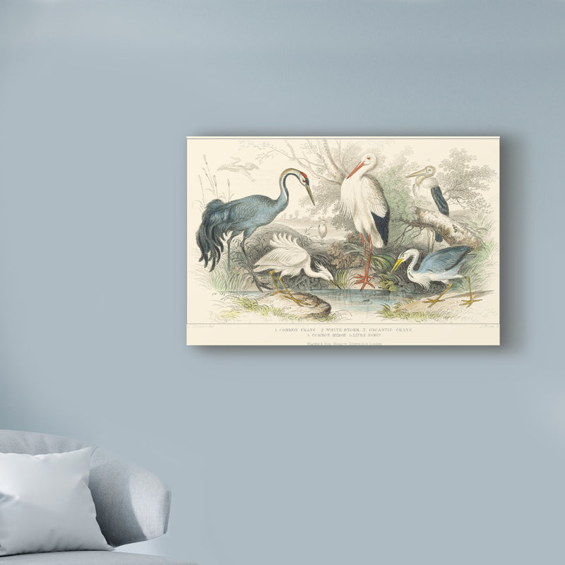 Highland Dunes Herons Egrets And Cranes Acrylic Painting Print