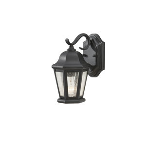 Hereford 1-Light Outdoor Wall Lantern