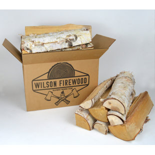 Decorative Birch Wood Logs Wayfair
