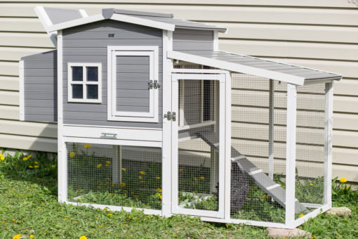 Dolly Chicken Coop With Nesting Box And Roosting Bar