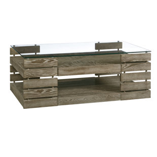 Naccarato Coffee Table With Storage by Williston Forge Find