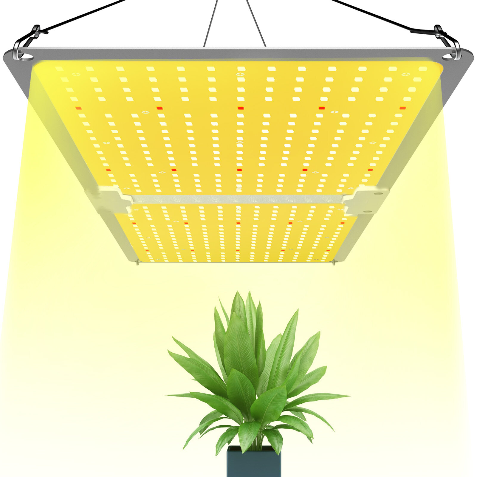 1000W LED Grow Light Full Spectrum Hydroponic Indoor Plant Flower Bloom IP65 EM 