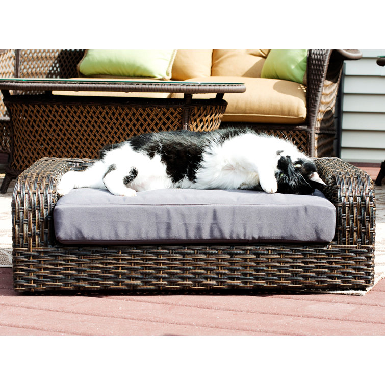 rattan dog sofa