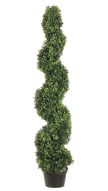 Darby Home Co Pond Spiral Top Boxwood Topiary In Planter Reviews Wayfair