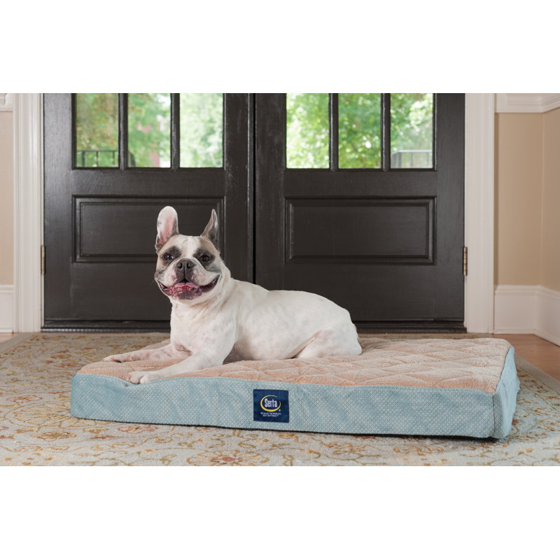 Serta Ortho Pillowtop Pet Bed Reviews Wayfair