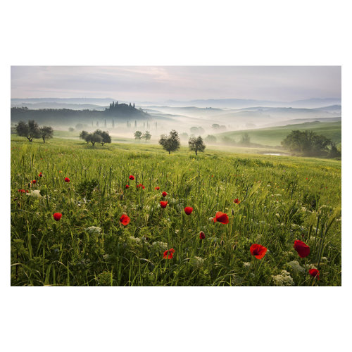 Tuscan Spring 1.9m x 2.88m Textured Matt Peel & Stick Wall Mural East Urban Home