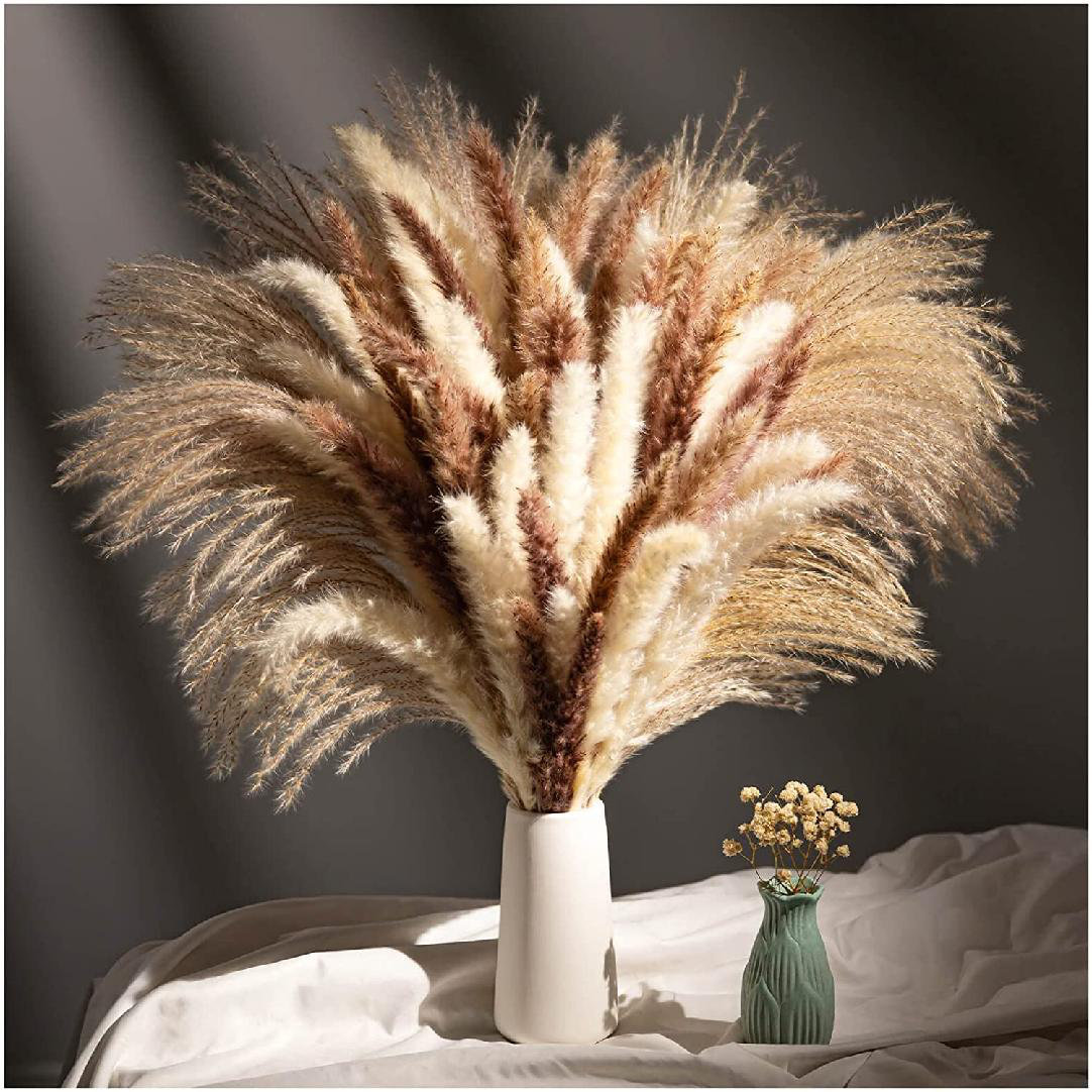 Dried Pampas Grass Flower Arrangements Wedding Home Decor RAILONCH 60pcs Natural Dried Lagurus ovatus Black Dried Pampas Grass Flower Arrangements Wedding Home Decor RAILONCH 60pcs Natural Dried Lagurus ovatus Black