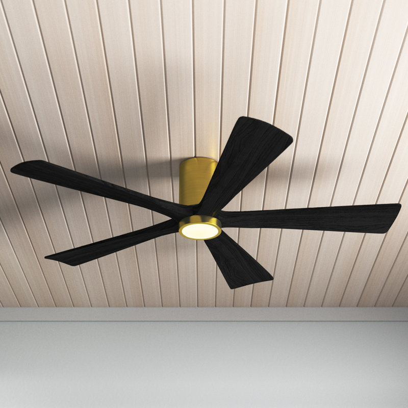 Allmodern 60 Bexley 5 Blade Led Flush Mount Ceiling Fan With Light Kit Included Wayfair