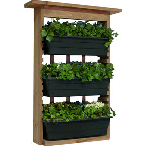 Wall Hanging Planter wall planters & vertical gardens you'll love Wall Hanging Planter wall planters & vertical gardens you'll love