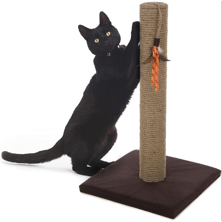 carpet cat scratcher
