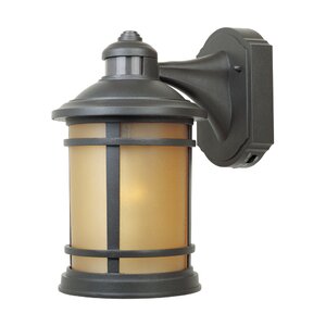 Hanover 1-Light Outdoor Wall Lantern