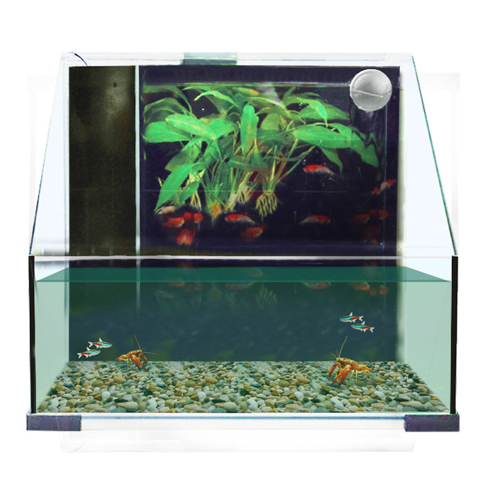 Tucker Murphy Pet Ranney 8 4 Gallon Novelty Aquarium Tank Wayfair Ca