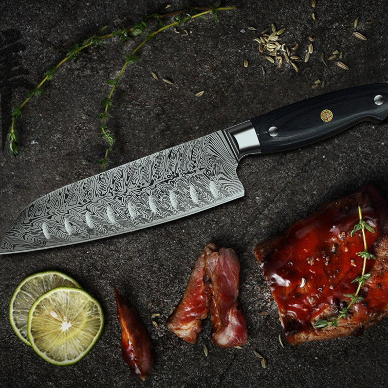 WUEHSK Ultra Sharp Stainless Steel Skeletonized Tang Chef Professional  Japanese 5 Piece Assorted Knife Set