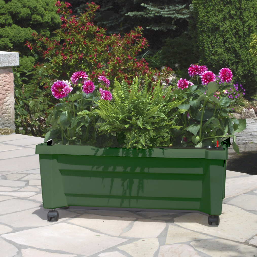 Plastic Planter Box