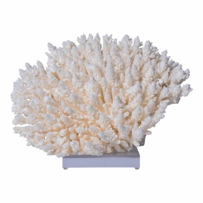C Luxurious Decorative Coral Sculpture with Crystal Base Environmentally Friendly Copper Material Large Size Handmade Non-Slip Waterproof Base N 
