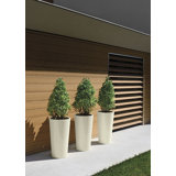 Pot Winston Porter Planters You Ll Love In 2021 Wayfair